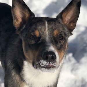 Meet your Posher, Jo ann